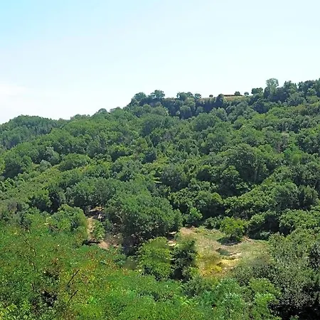 Bed & Breakfast La Casa Del Sole Bomarzo